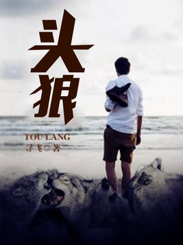 头狼寻飞