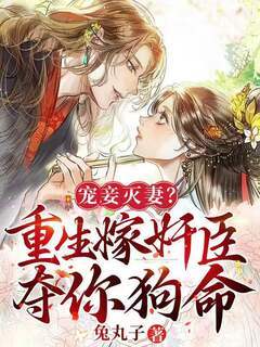 渣男宠妾灭妻?她二嫁太子小说
