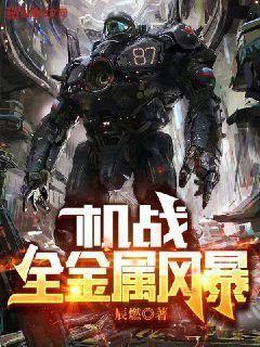机战全金属风暴TXT下载