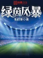 绿茵风暴 第235章