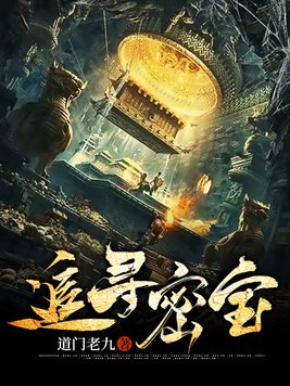 追寻密宝小说,第二部