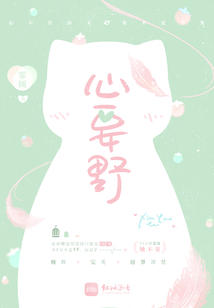 心要野小说免费阅读