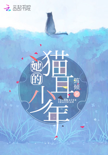 遇见你的猫耳少年