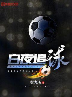 白夜追杀