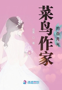 菜鸟作家的白月光 佳美