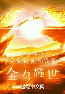从墓综世界开始:金乌耀世笔趣阁