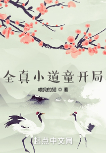 全真小道童开局TXT下载
