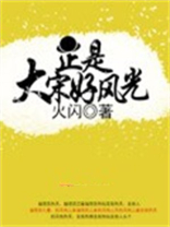 正是大宋好风光 火闪
