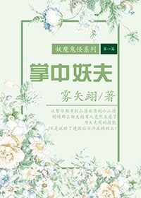 小说掌中妖夫