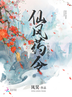 仙风药令小说