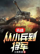 抗战从小兵到将军的小说下载