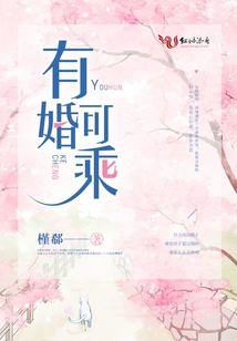 有婚可乘小说