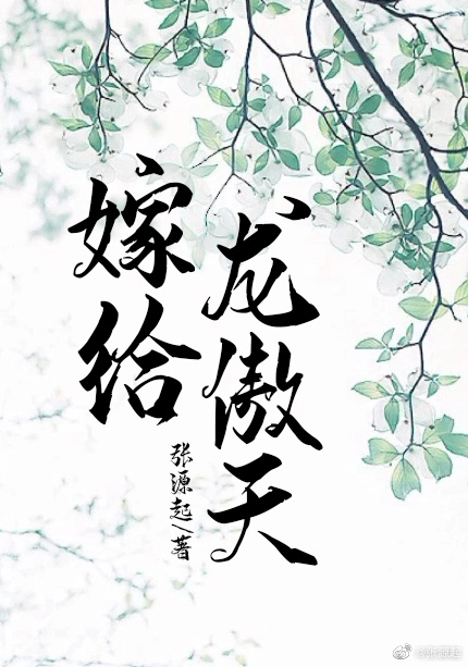 嫁给龙傲天宝书网下载