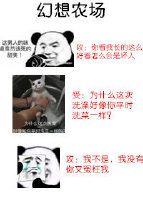 幻想农场尹寻身份