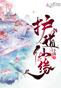 护道仙缘实体书