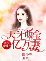 帝少追缉令天才萌宝亿万妻免费阅读最新章节