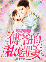 龙风三宝傅爷的私宠罪妻
