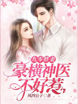 九零胖妻豪横神医不好惹风四公子