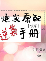 炮灰原配逆袭手册TXT百度云