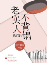 老实人不背锅全文免费阅读