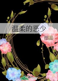温柔的恶少 小说 细品
