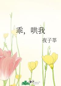 乖哄我小说秦暖全文免费阅读