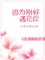 因为刚好遇见你小说梦筱二