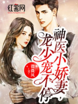 神医小娇妻,龙少宠不停全文阅读