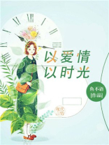 以爱情以时光小说讲的什么