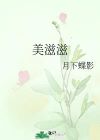 美滋滋小说讲的什么