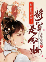 报告殿下,将军是红妆 小说