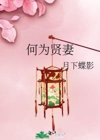 何为贤妻 讲的什么