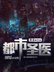 都市圣医小说