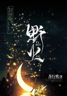 野火林晚林潮生小说夏布多昂