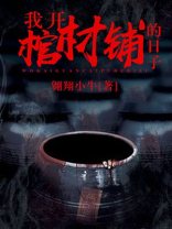 我开棺材铺的日子声小说免费