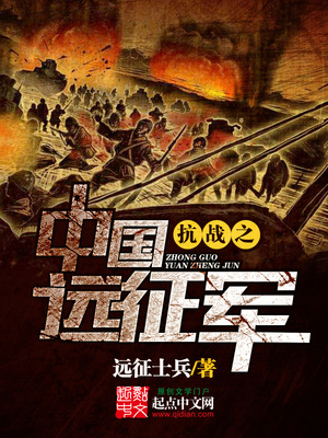 抗战之中国远征军 远征士兵 小说