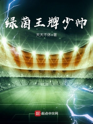 绿茵王牌少帅 好看吗