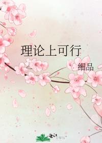 理论可行性分析写什么