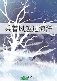 乘着风越过海洋 何书