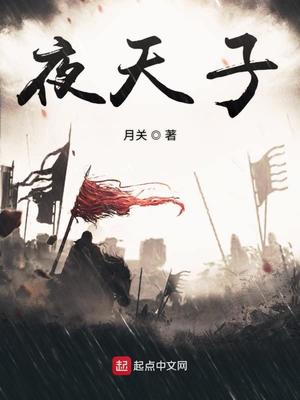 夜天子小说TXT下载