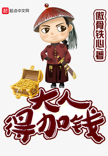 大人得加钱小说
