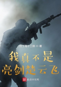我真不是亮剑楚云飞