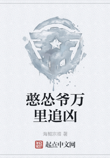 憨怂爷万里追凶TXT