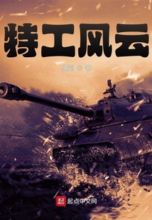 特工风云小说