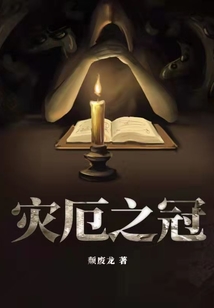 灾厄之冠无错版