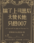 揣了上司崽后天使长他只想007