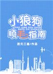 小狼狗顺毛指南免费阅读